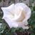 Velaine Arndt's profile image