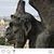 Patti Clark Carey's profile image