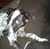 MaryJo Landwehr's profile image