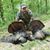 David Burchfield's profile image