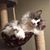 Sonny Klodner's profile image