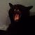 Jessica L. Bezzard's profile image