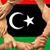 Talal Mansuri's profile image