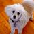 Laura Miller-Auriemma's profile image