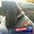 Peggy Foss Knaack's profile image