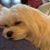 Bryan Allen Reed's profile image