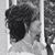 Lily Gray's profile image