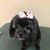 LouAnn Ullmann-Rowan's profile image