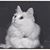 Susanna K. Hutcheson's profile image