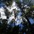Krista Coryell's profile image