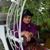 Lisa Lewis Bowman's profile image