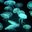 UnderSea Coffee LLC's profile image