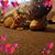 Linda Artley Troyer's profile image
