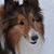 Leanne Holt's profile image