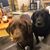 Lorie Gillis-Merkle's profile image
