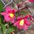 Donna Lawrence's profile image
