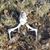 David Geringer's profile image