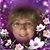 Linda Southworth Gerard's profile image