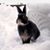 Christine Blakey's profile image