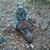 David Stambaugh's profile image