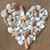 Lynn Denison's profile image