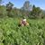 Shelley Preece Finder's profile image