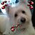 Nanci Butterly's profile image