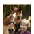 Lynne Roberts's profile image
