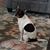 Cheryl Lynn Johnson's profile image