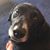 Rik Deering's profile image