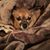 Charles Durham's profile image