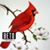 Lottie Mikell-Harris's profile image