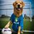 Morgan Sigler's profile image