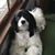 Cindy Cary-MacDaniels's profile image