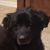 Michael A. Kaplan's profile image