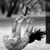 Mindy Goldblatt's profile image