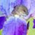 Heather Friedrich's profile image