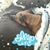 J.m. Manry's profile image