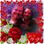 Shawn Gorski's profile image