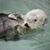 Christopher Wayne Sowinski's profile image