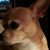 Dorothy Tefs Venegas's profile image