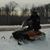 Joe Merta's profile image