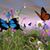 Laura Lynn Frisbie's profile image