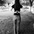 Alma Paez's profile image