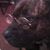 Terri Tillison's profile image