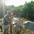 Beverly Gardner Lane's profile image