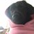 Marisol Mahmoudi's profile image
