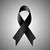 Laureano Rojas's profile image