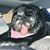 Lola Naylor's profile image