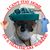 Sumbul Naqvi's profile image